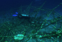 Banyan Tree Vabbinfaru_dive