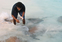 Banyan Tree Vabbinfaru_ray