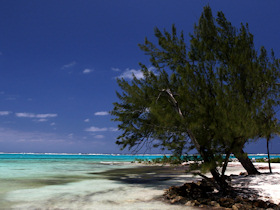 Rum Point, Grand Cayman