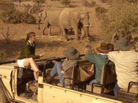 Wildlife conservation safari in Botswana