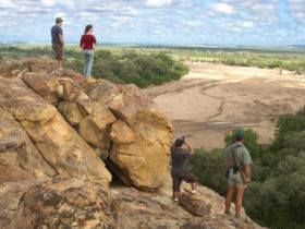 Wildlife conservation safari in Botswana