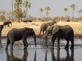 Zimbabwe holiday, wildlife tour