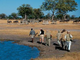 Zimbabwe holiday, wildlife tour