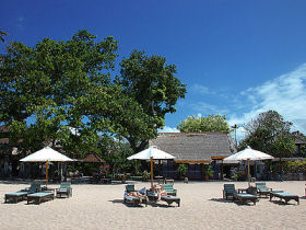Borneo and Bali holiday