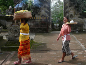 Borneo and Bali holiday