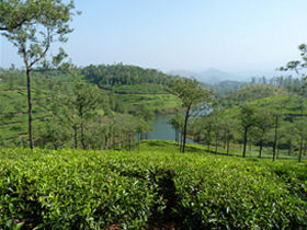 Fair trade tour to Southern India