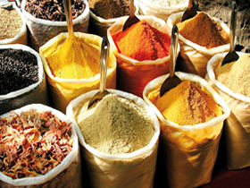 Fair trade tour to Southern India