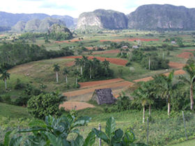 Cuba fair trade tour