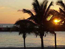 Cuba fair trade tour
