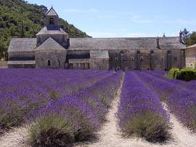 Cycling holiday in Provence, France