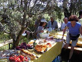 Cycling holiday in Provence, France