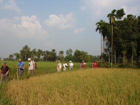 Fair trade tours to India