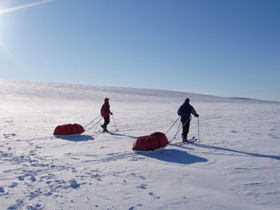 Greenland expedition holiday