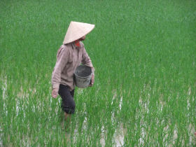 Indochina tour
