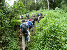 Kilimanjaro charity climb