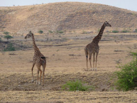 Tanzania charity trek