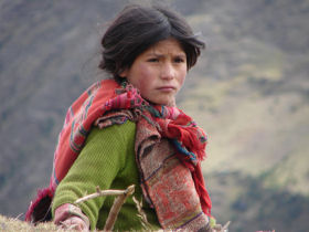 Trek to Machu Picchu