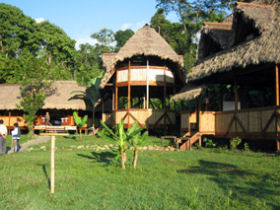 Rainforest conservation in the Amazon, Peru