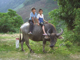 Vietnam family tour