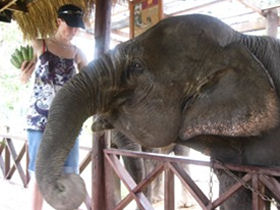 Laos cycling holiday, mountain tour