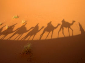 Egypt budget tour