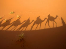 Family culture & adventure holiday to Egypt
