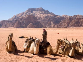 Egypt and Jordan tours