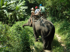 Thailand tour, Bangkok and Chiang Mai