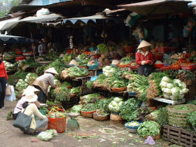 Cambodia & Vietnam tailormade tours