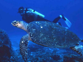 KwaZulu-Natal safari & beach holiday in South Africa