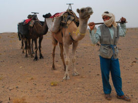 Sahara Desert charity trek, Morocco