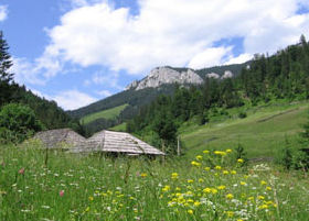 Transylvanian Alps charity trek, Romania