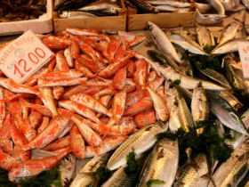 Sicily cooking and culture holiday, Italy