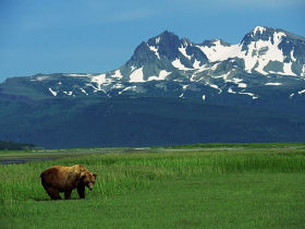 Holiday in Alaska, wildlife and wilderness