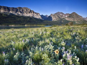 Rocky Mountains wildlife holiday, USA