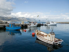 Shark conservation in South Africa