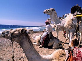 Family Sinai and Red Sea holiday, Egypt