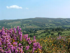 Dartmoor walking holiday in Devon, England