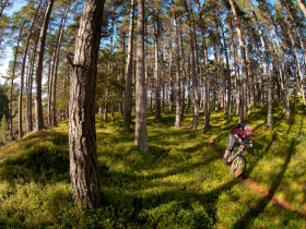 Cairngorms adventure tour