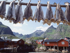 Lofoten self drive holiday in Norway