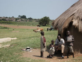 Mountain gorilla project in Uganda