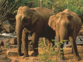 Northern Thailand & Laos tour