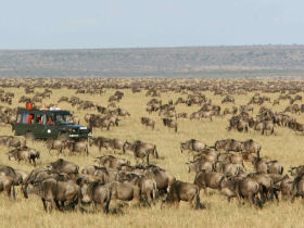 Luxury Kenya safari