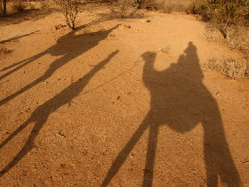 Off the beaten track luxury Kenya safari