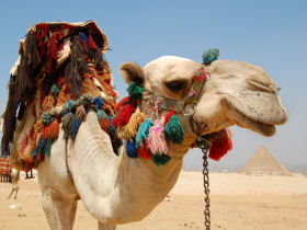 Egypt and Israel holiday
