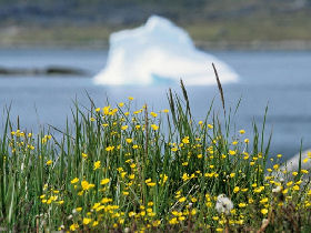 Greenland and Canada Arctic cruise