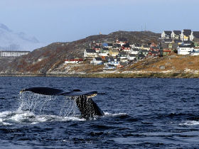 Greenland and Canada Arctic cruise