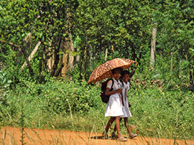 Fair trade tour to Sri Lanka