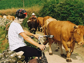 Camino de Santiago cycling holiday
