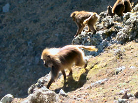 Ethiopia trekking holiday, small group